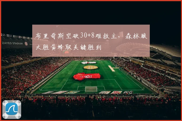 布里奇斯空砍30+8难救主,森林狼大胜黄蜂取关键胜利