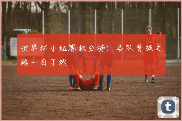 世界杯小组赛积分榜：各队晋级之路一目了然