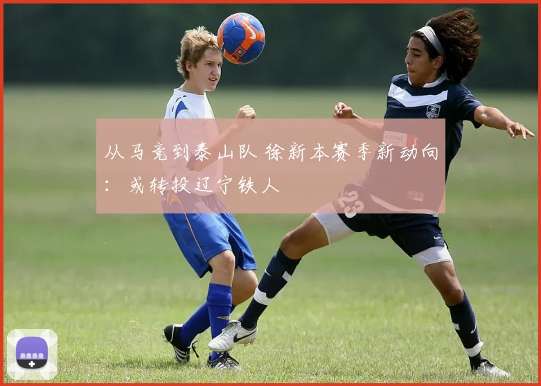 从马竞到泰山队 徐新本赛季新动向:或转投辽宁铁人